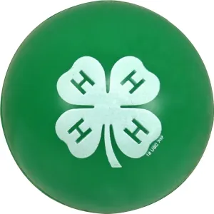 4-H Super Bouncy Ball