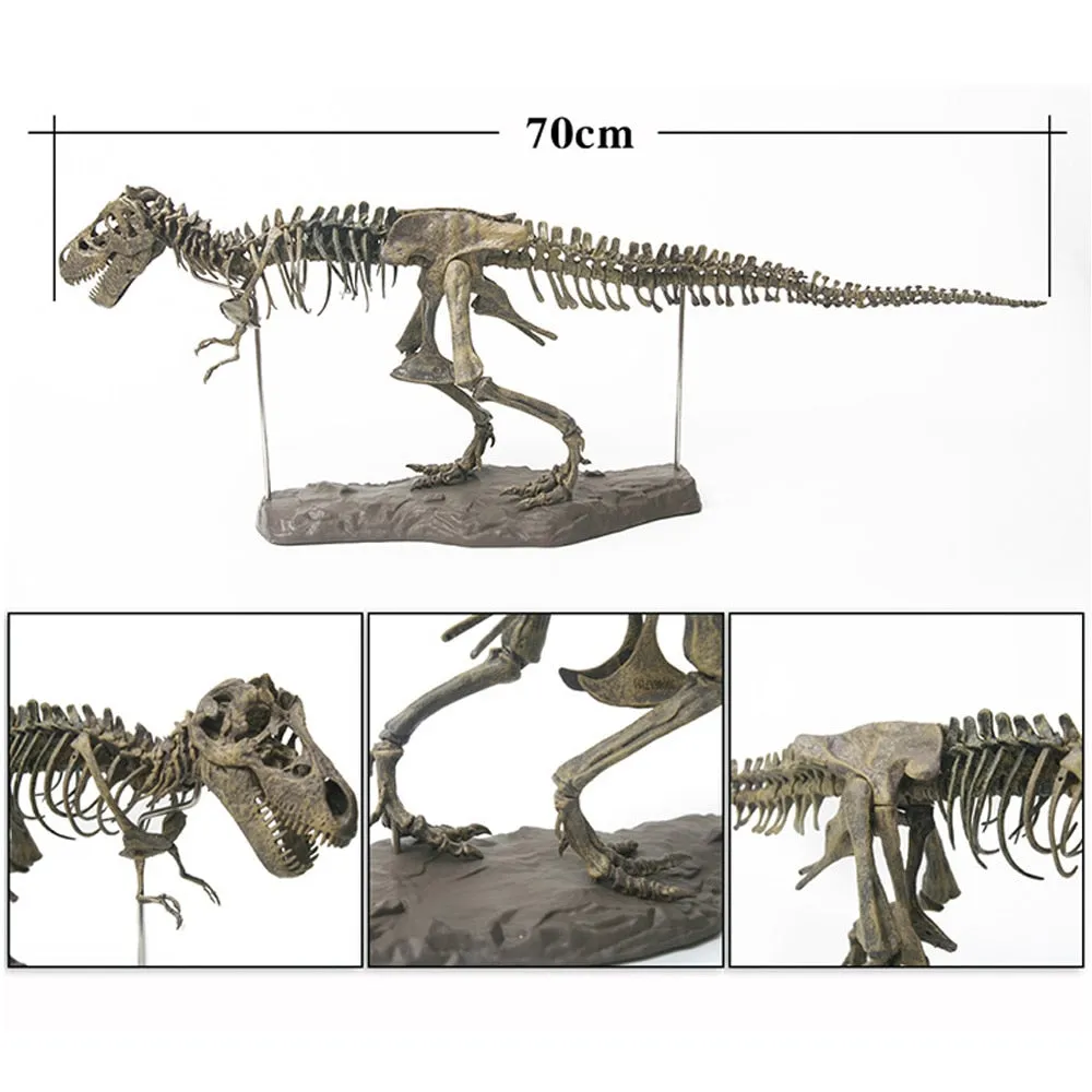 4D Animal Model Toys Simulation Large Dinosaur Fossil Tyrannosaurus Assemble the skeleton model Toys Home Decoration