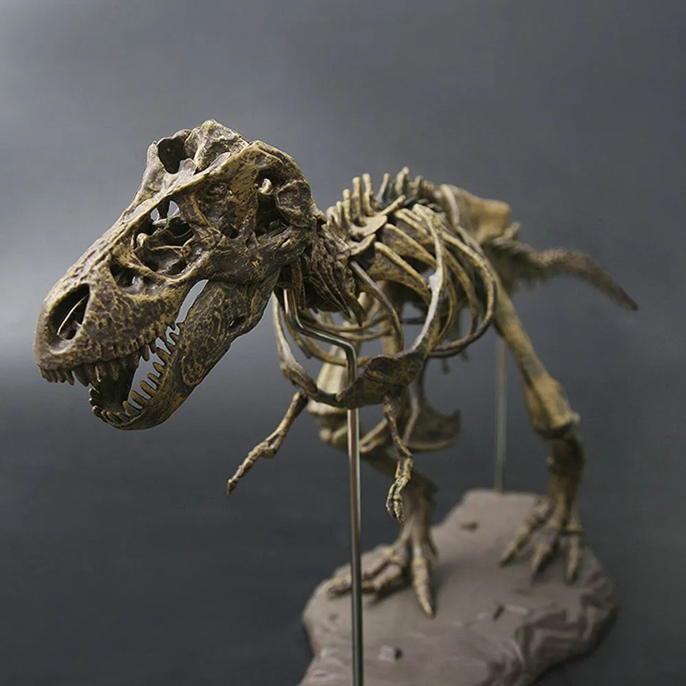 4D Animal Model Toys Simulation Large Dinosaur Fossil Tyrannosaurus Assemble the skeleton model Toys Home Decoration