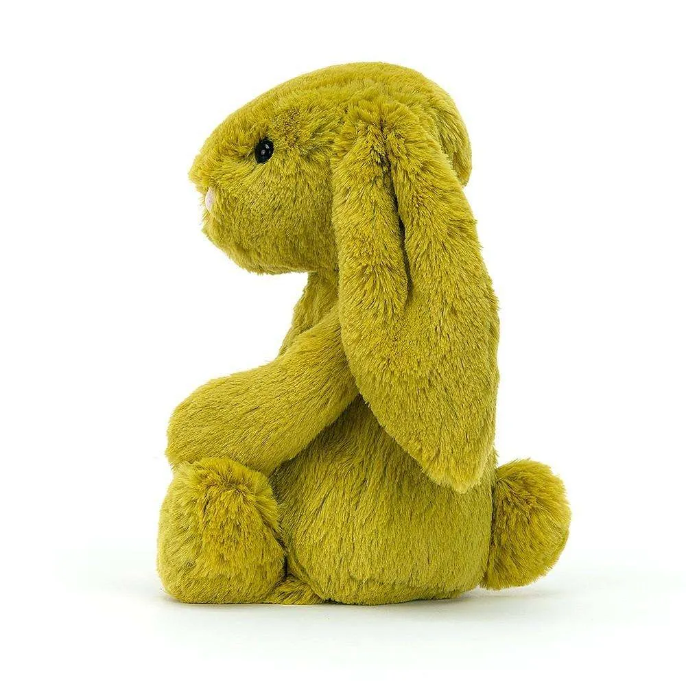 Bashful zingy bunny