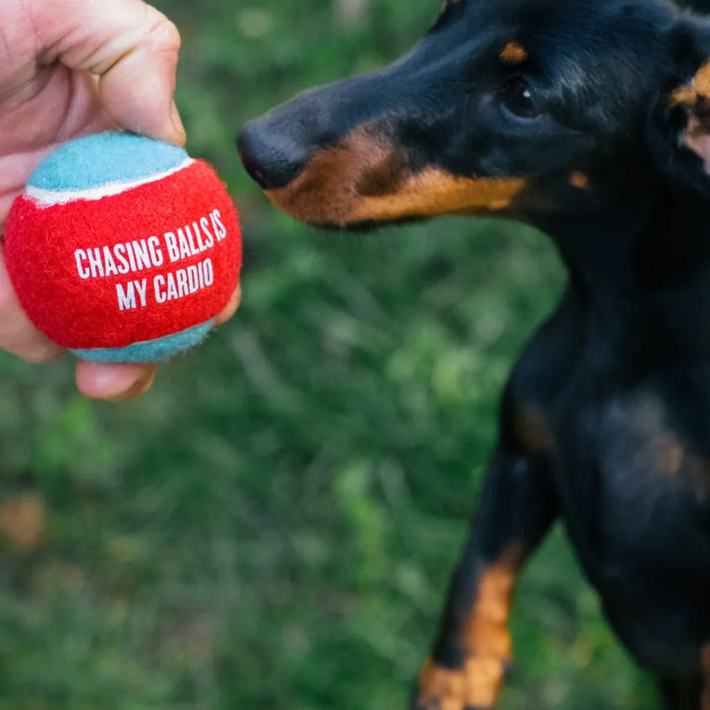 Dog Tennis Ball 4-Pack