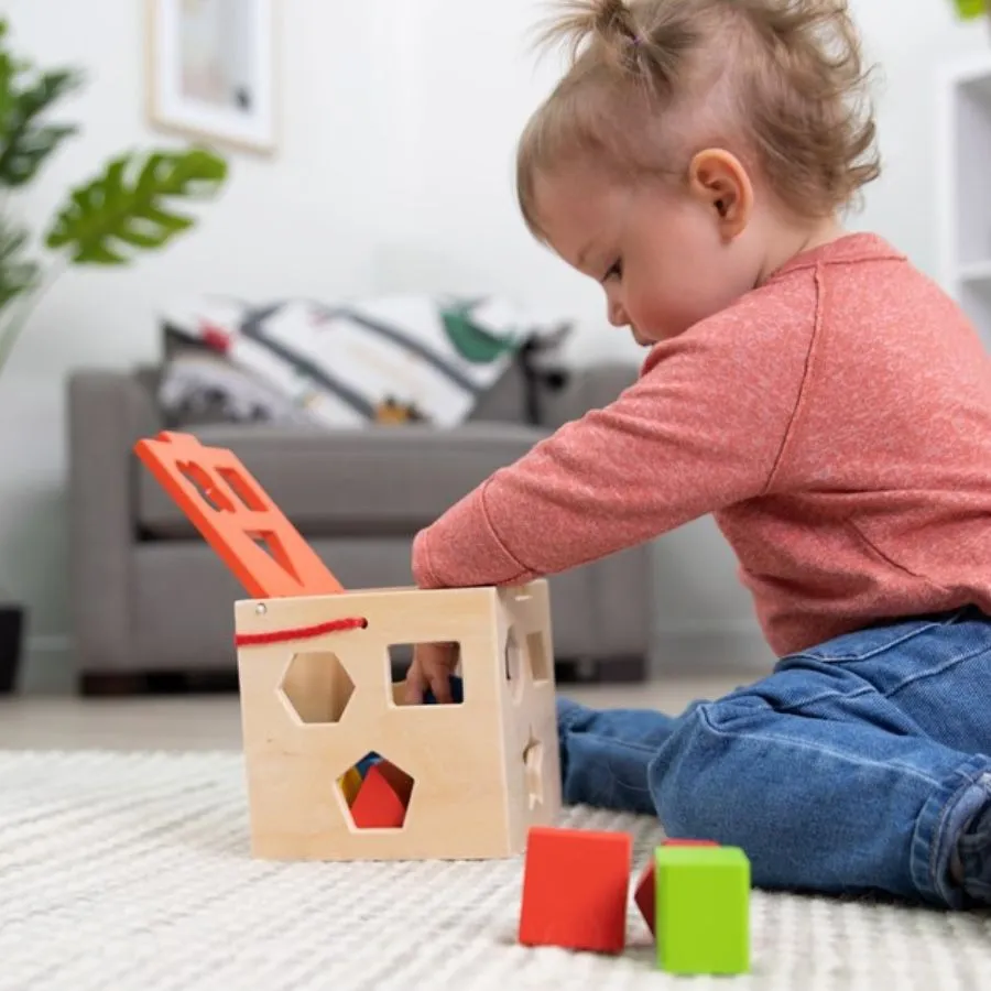 Fat Brain Toys - Take-Along Shape Sorter Wooden Toys