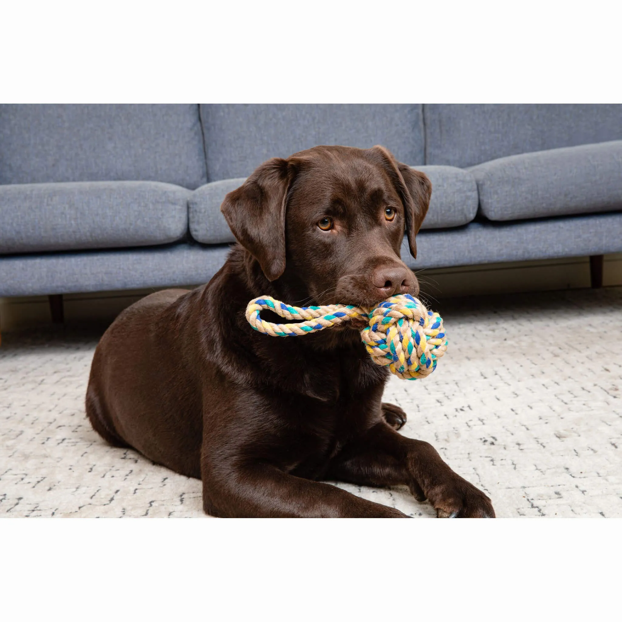 Only Natural Pet Hemp and Recycled Cotton Tug & Fetch Dog Toys