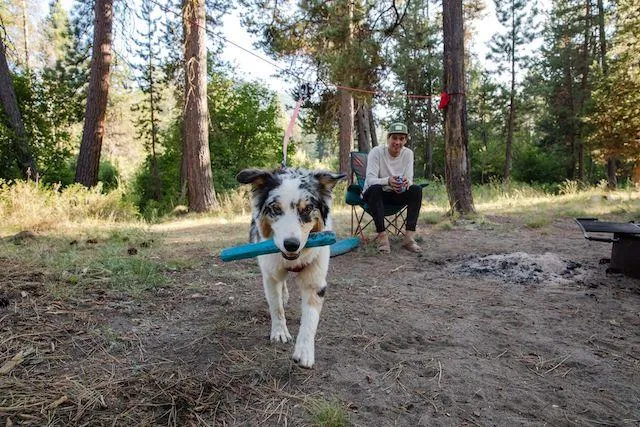 Ruffwear Gnawt-a-Stick™ Rubber Floating Fetch Dog Toy